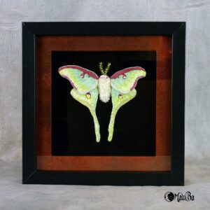 Handgestickte 3D Luna Moth – Exklusives Schmetterling-Motiv im Objektrahmen